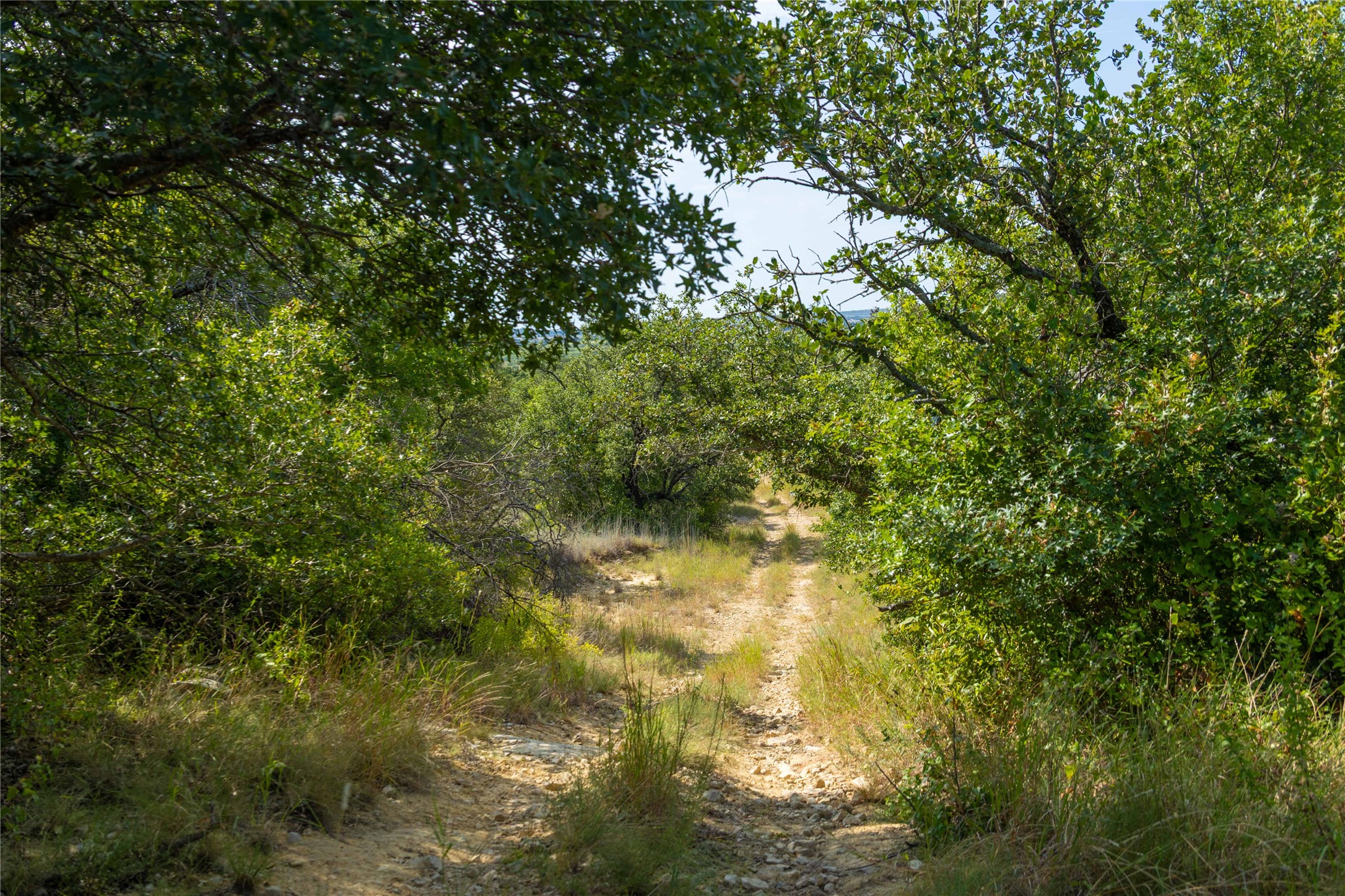 447 County Road 411 Coleman TX 76834