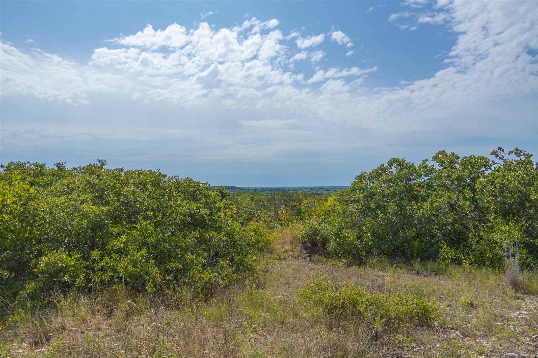 447 County Road 411 Coleman TX 76834