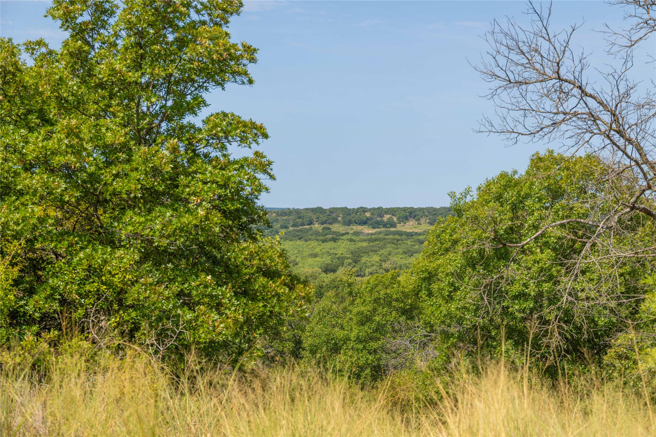 447 County Road 411 Coleman TX 76834