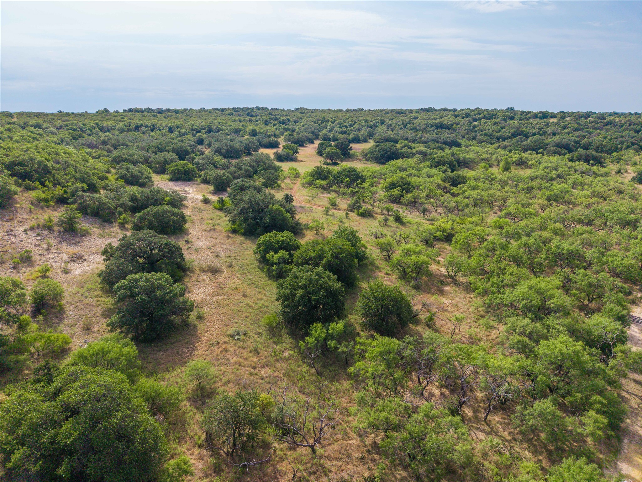 447 County Road 411 Coleman TX 76834