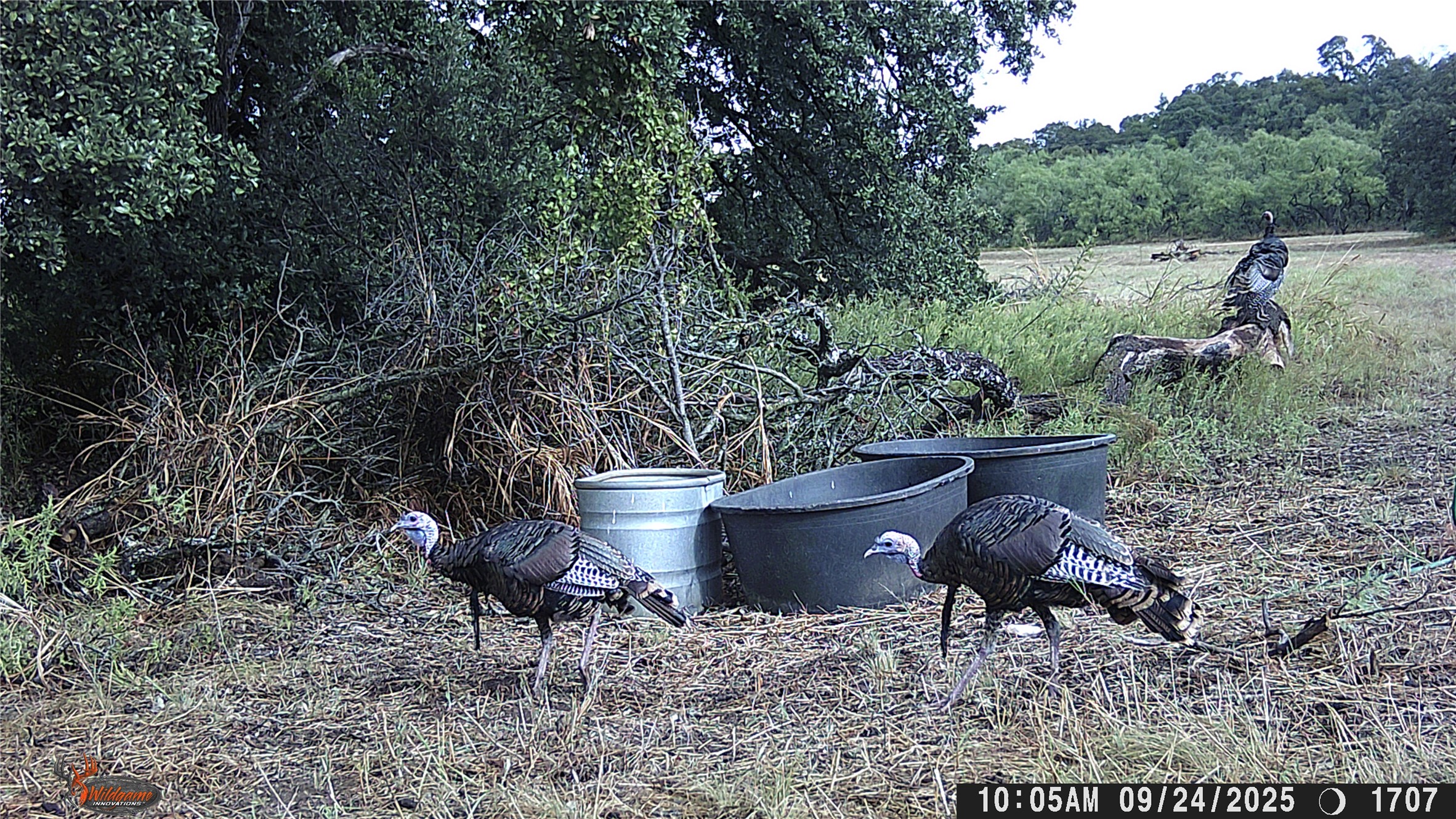 447 County Road 411 Coleman TX 76834