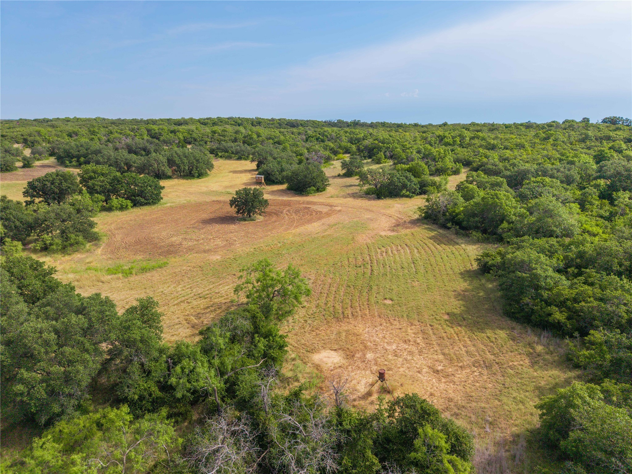 447 County Road 411 Coleman TX 76834