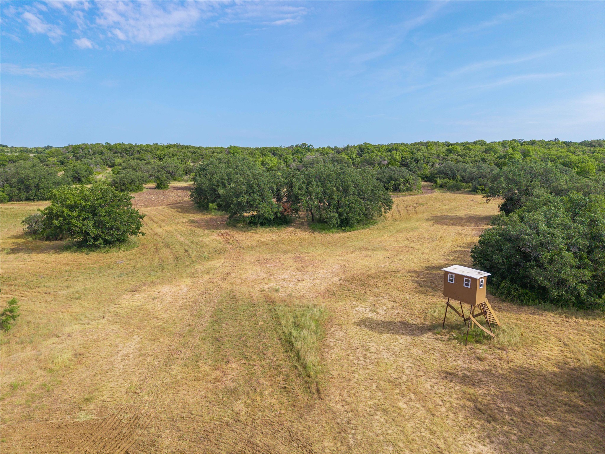 447 County Road 411 Coleman TX 76834