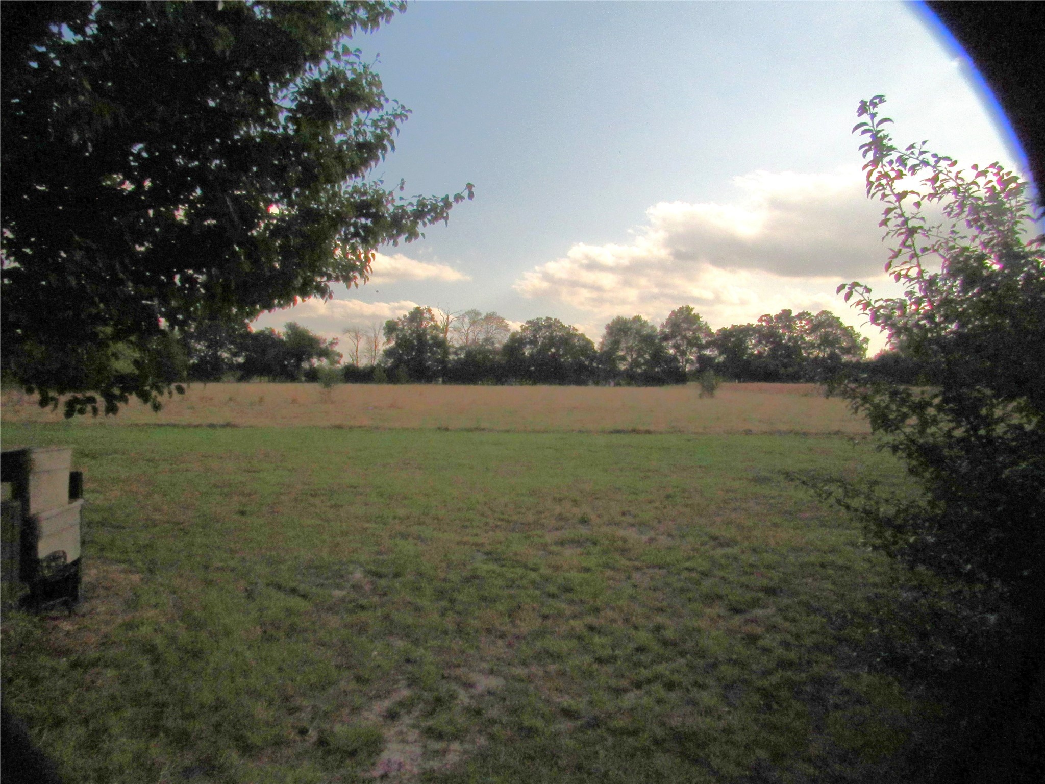269 County Road 1008 Wolfe City TX 75496