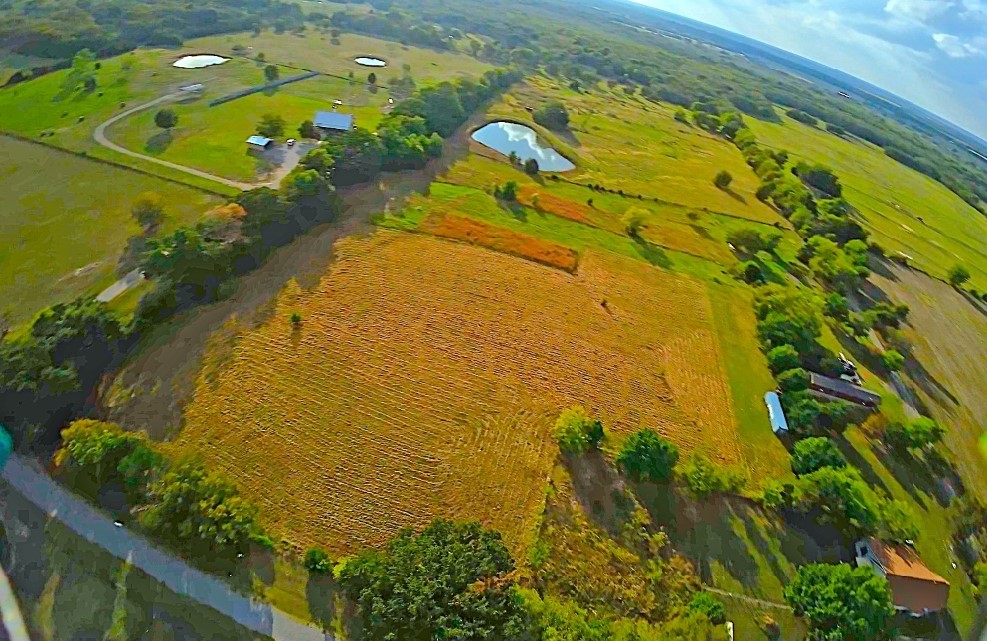 269 County Road 1008 Wolfe City TX 75496