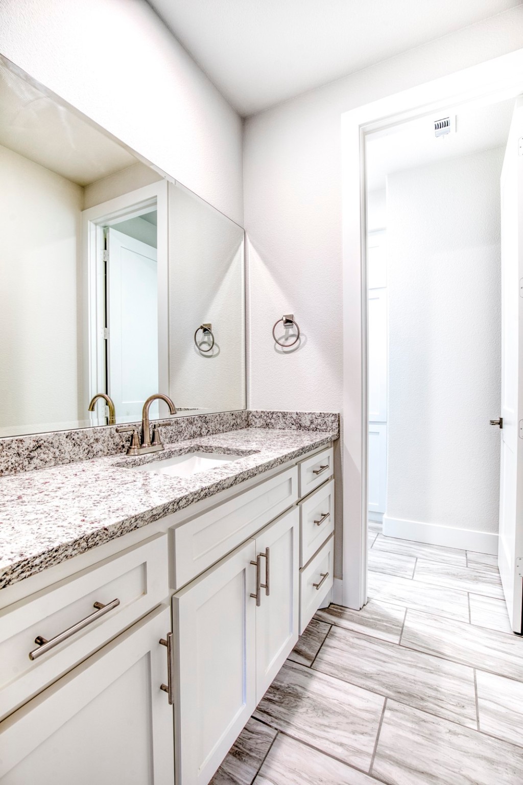 1376 Shadow Lakes Drive Wills Point TX 75169
