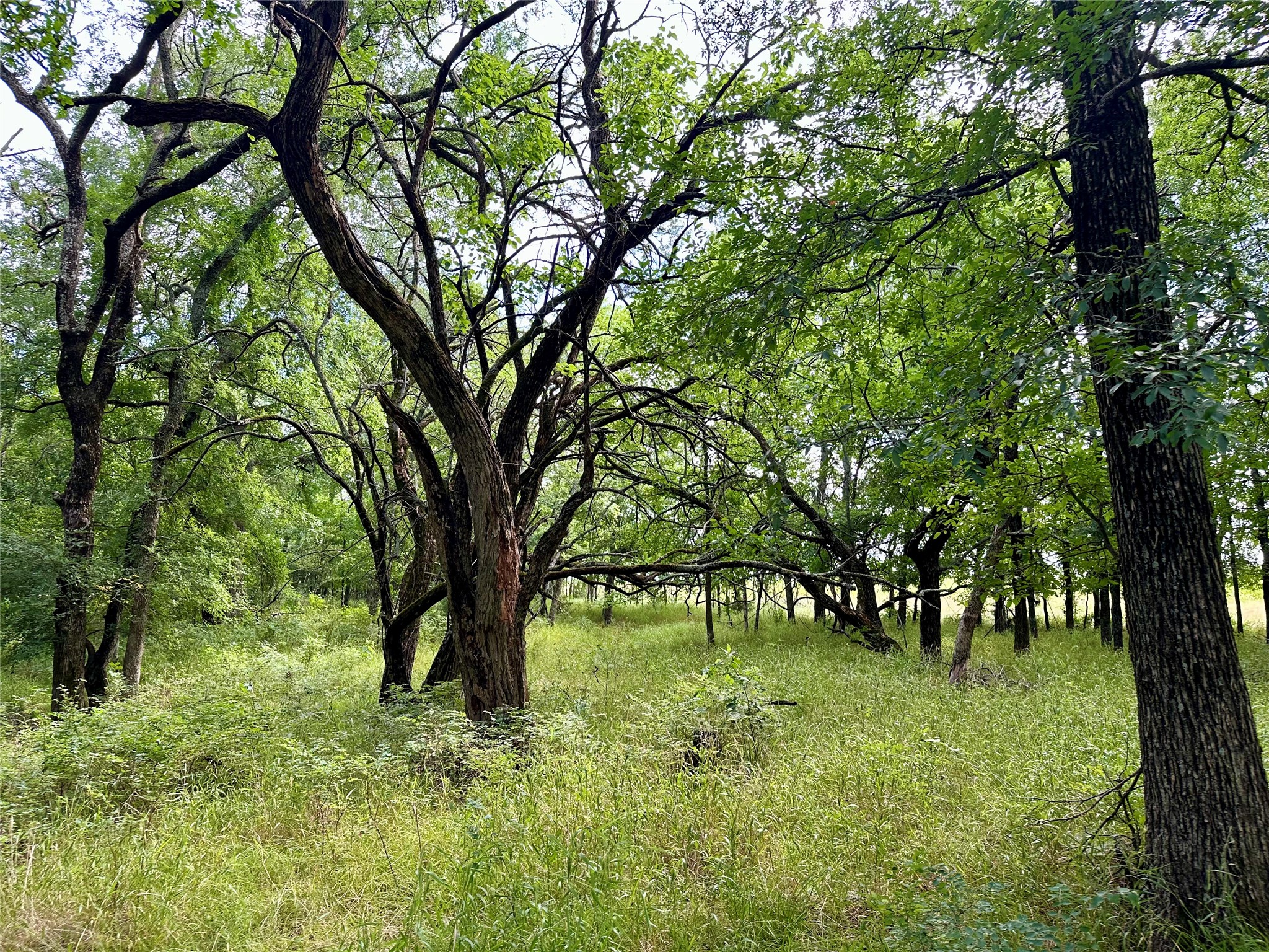 2396 County Road 2145 Cooper TX 75432