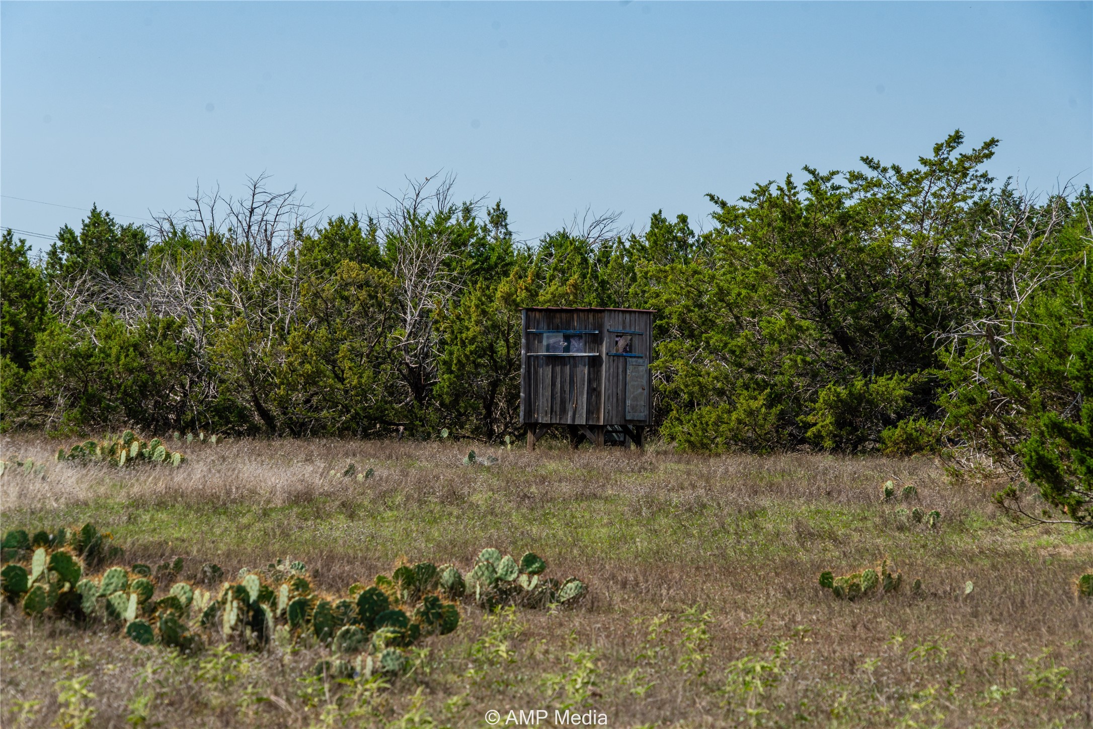 1982 Mountain Pass Road Merkel TX 79536