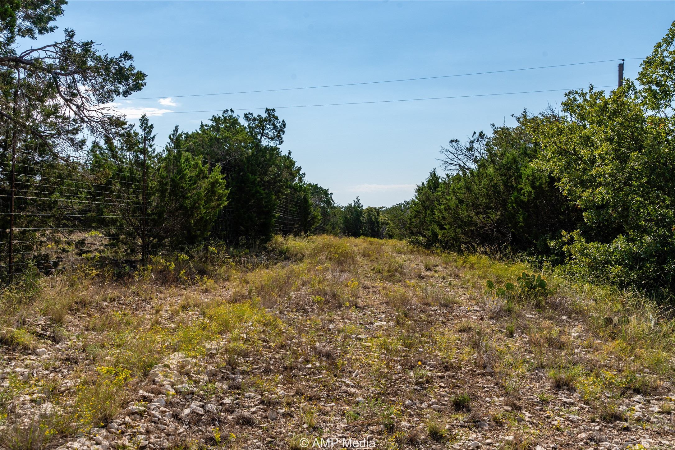 1982 Mountain Pass Road Merkel TX 79536