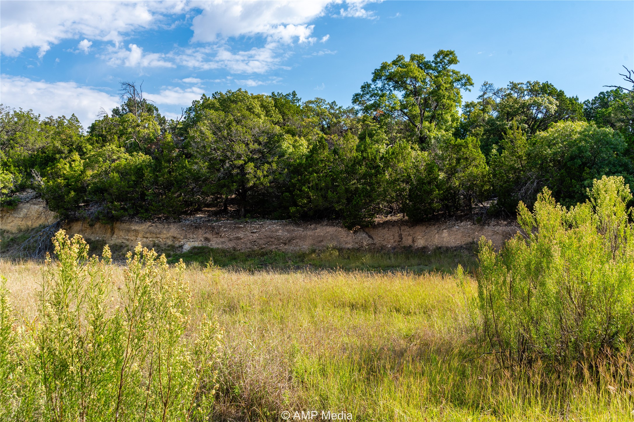 1982 Mountain Pass Road Merkel TX 79536