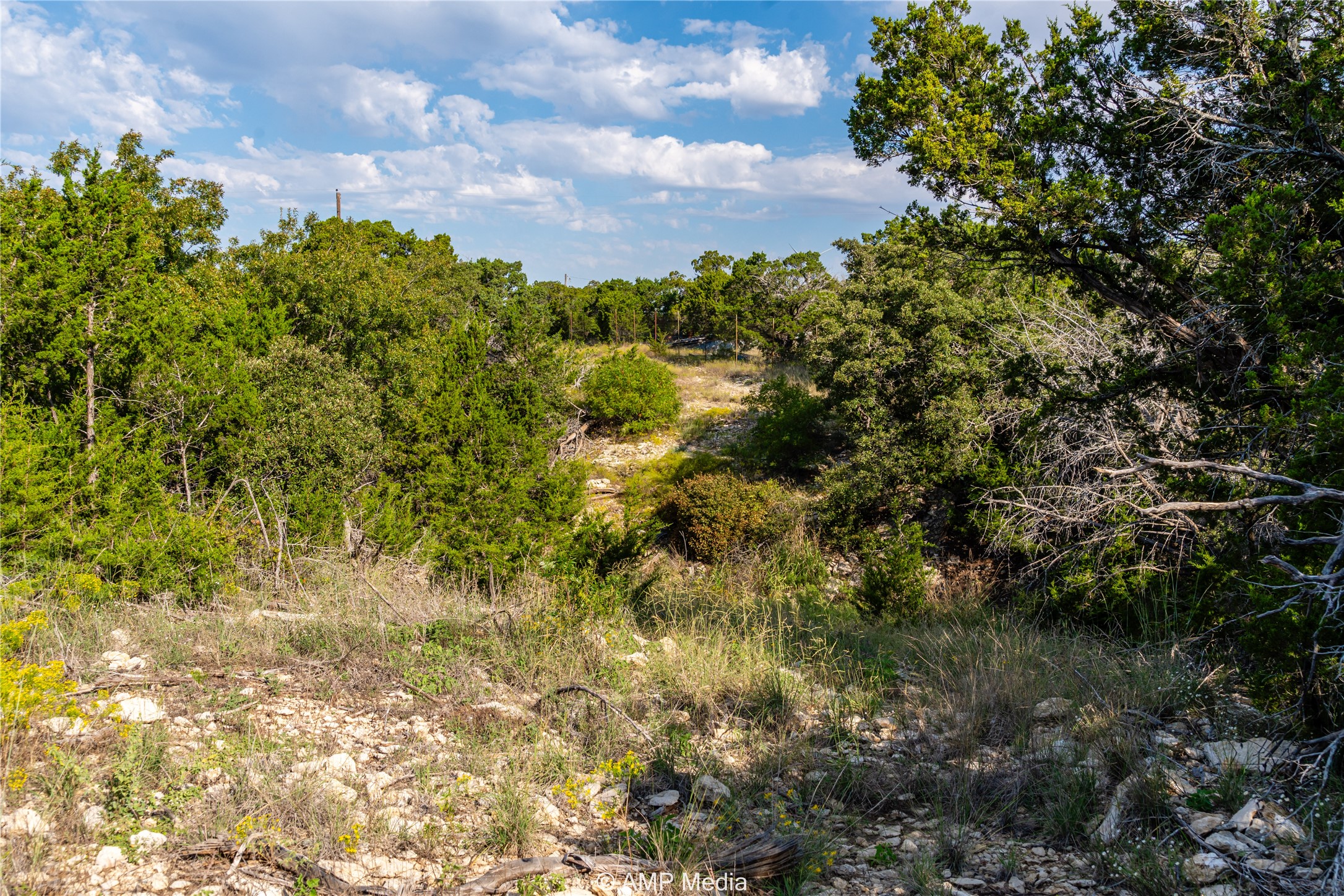 1982 Mountain Pass Road Merkel TX 79536