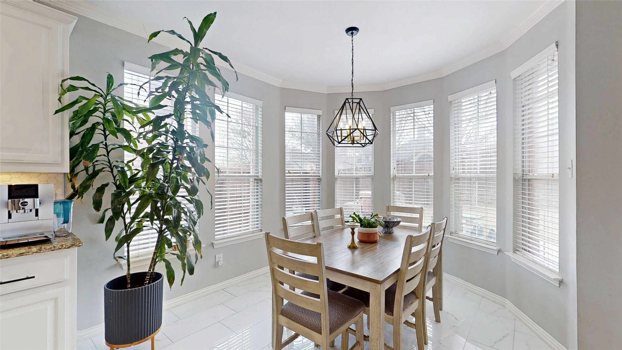 1051 Metalmark Court Lantana TX 76226