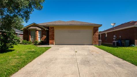 1133 Lake Haven Drive Little Elm TX 75068