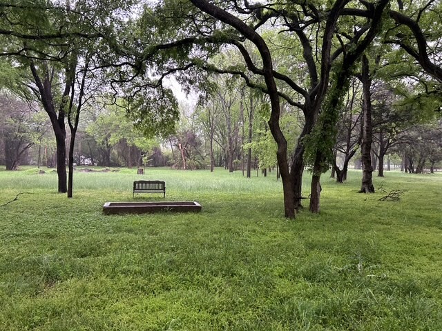 110 County Road 4270 Clifton TX 76634