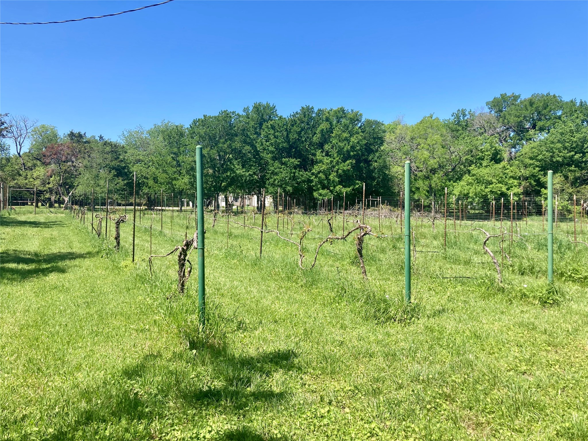 110 County Road 4270 Clifton TX 76634