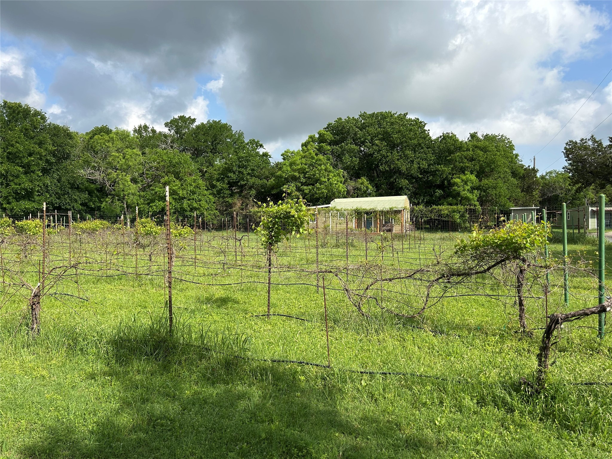 110 County Road 4270 Clifton TX 76634