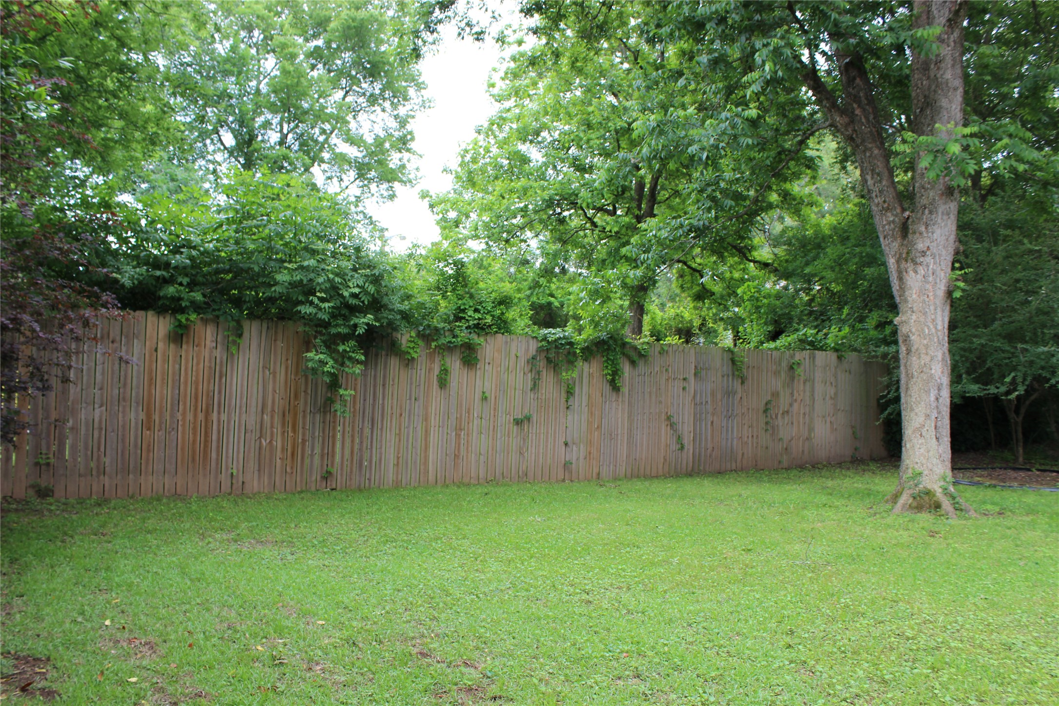 515 Davis Street Minden LA 71055