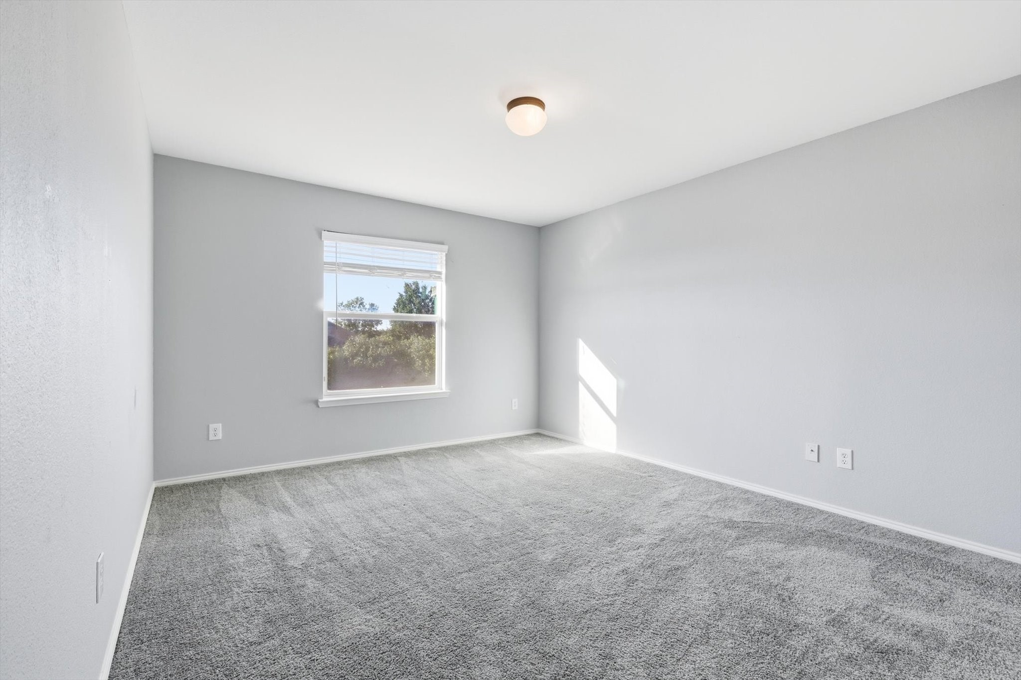 4648 Pangolin Drive Fort Worth TX 76244