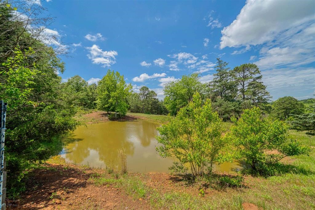 1936 B Silver Maple Road Big Sandy TX 75755