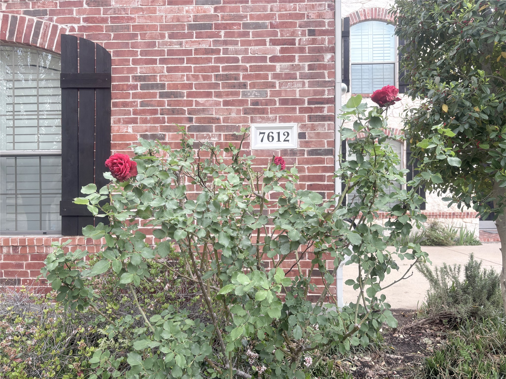 7612 Cindy Lane Sachse TX 75048