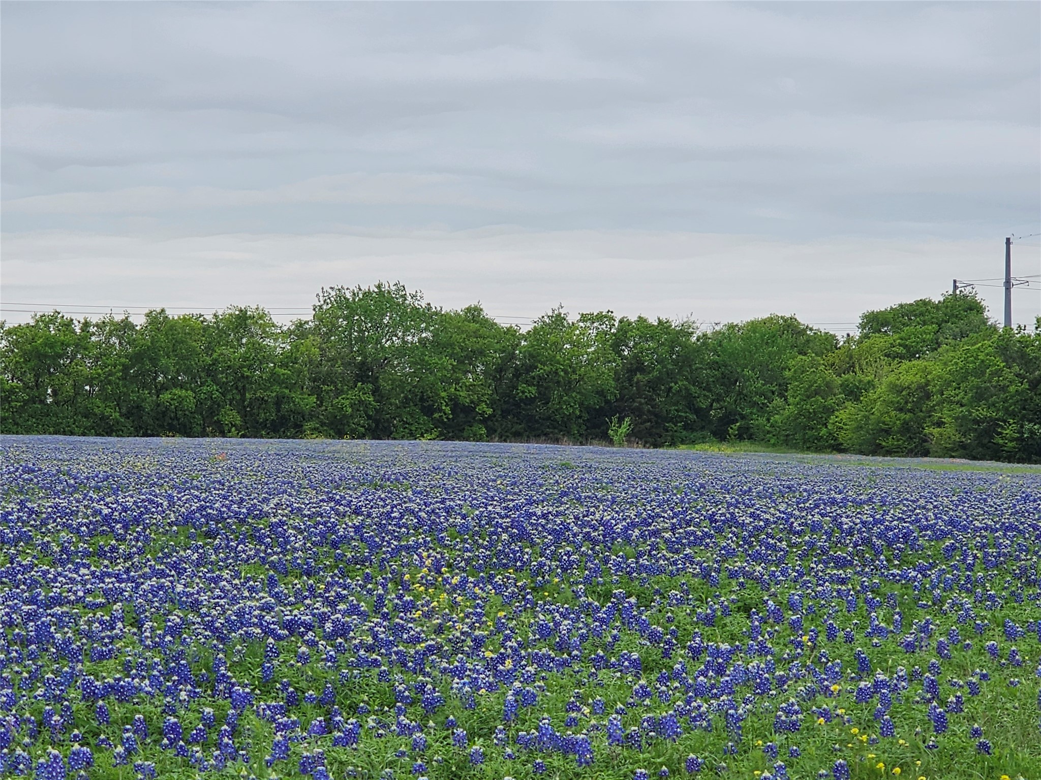 1810 Longbranch Road Waxahachie TX 76065
