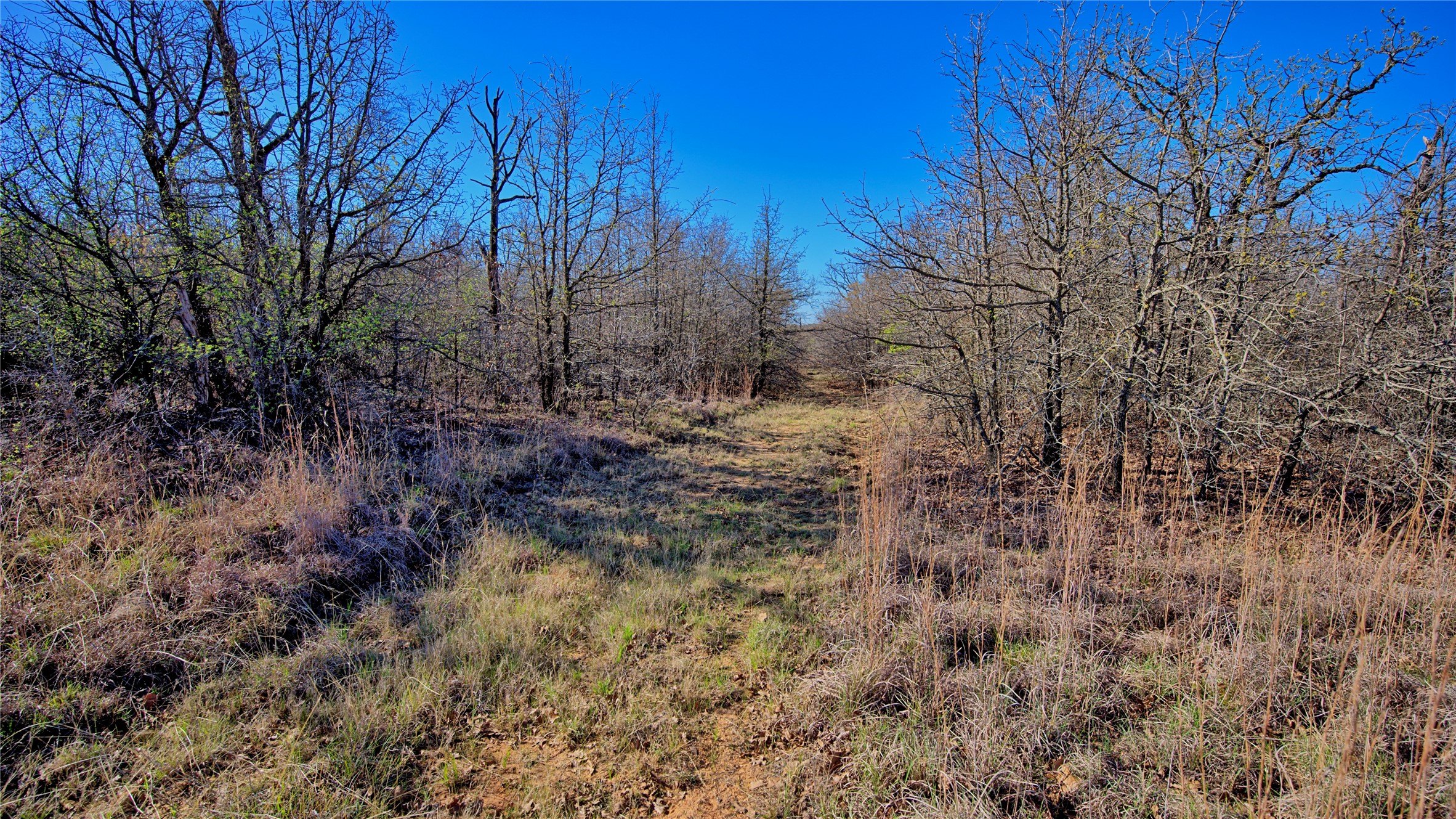 1486 Hildreth Pool Road Bowie TX 76230