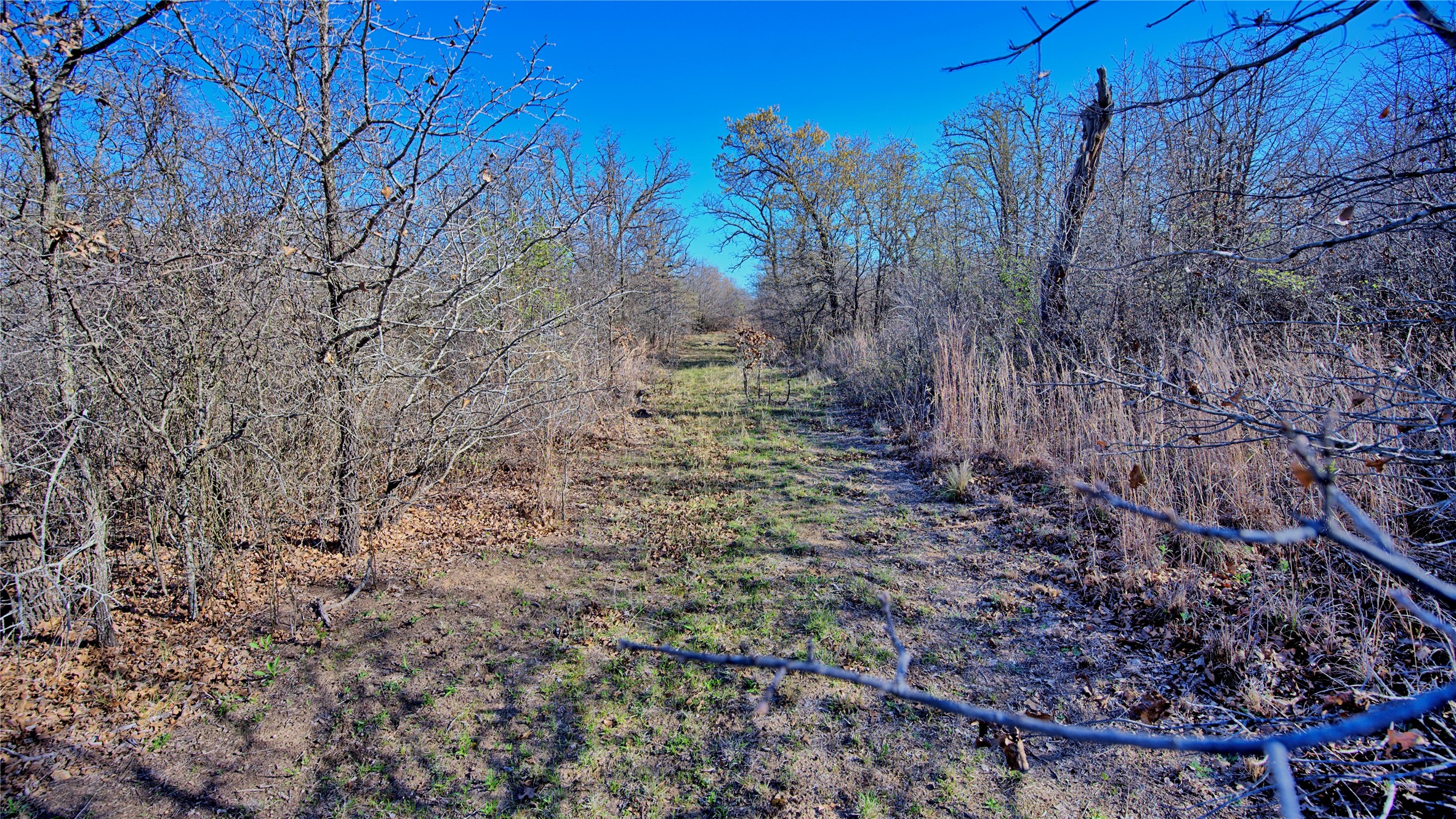 1486 Hildreth Pool Road Bowie TX 76230
