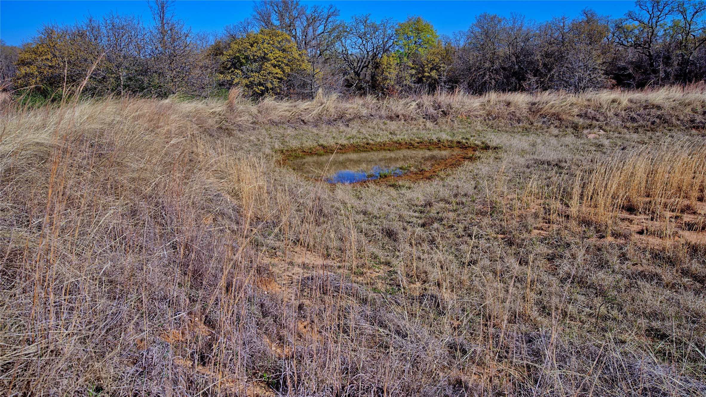 1486 Hildreth Pool Road Bowie TX 76230