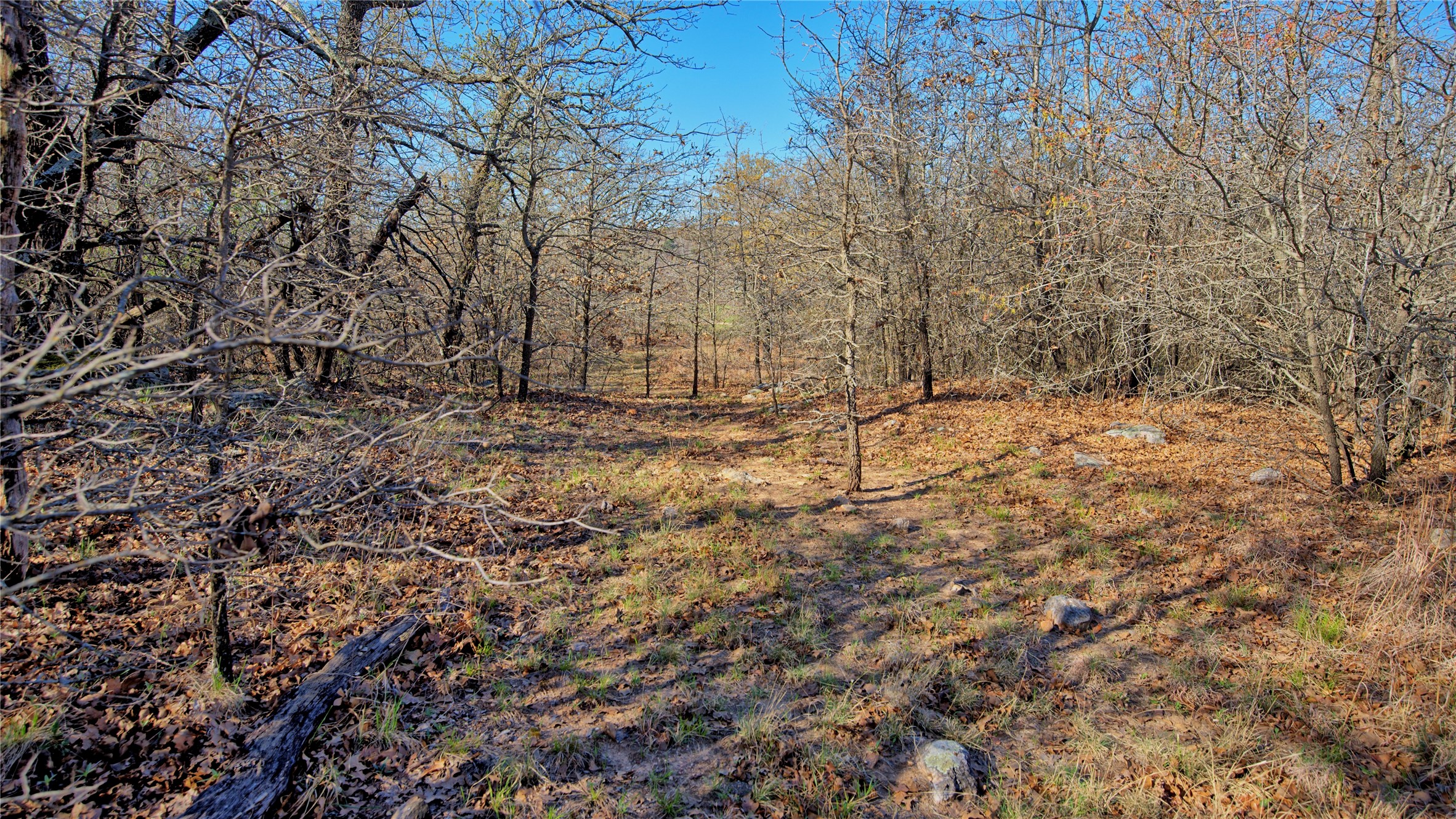 1486 Hildreth Pool Road Bowie TX 76230