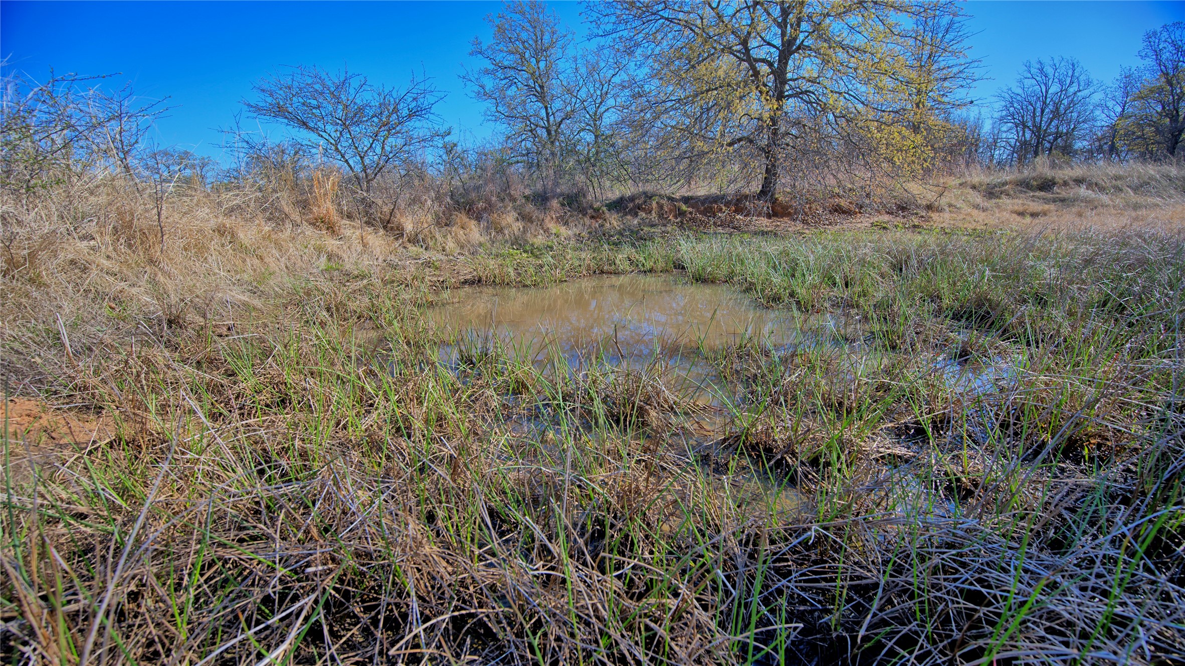 1486 Hildreth Pool Road Bowie TX 76230
