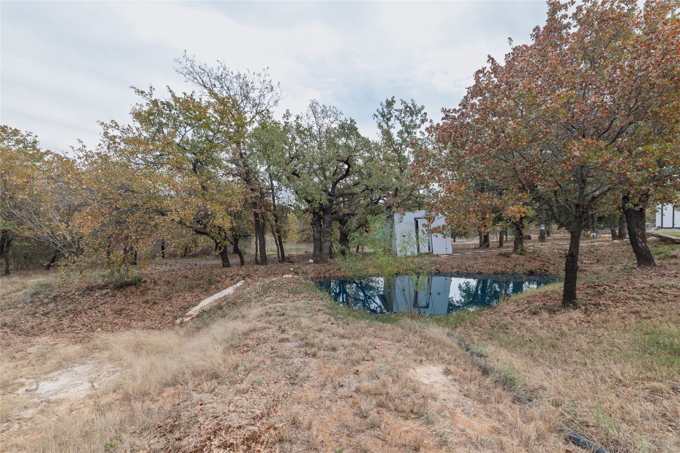 399 Wild Hill Oak Drive Springtown TX 76082