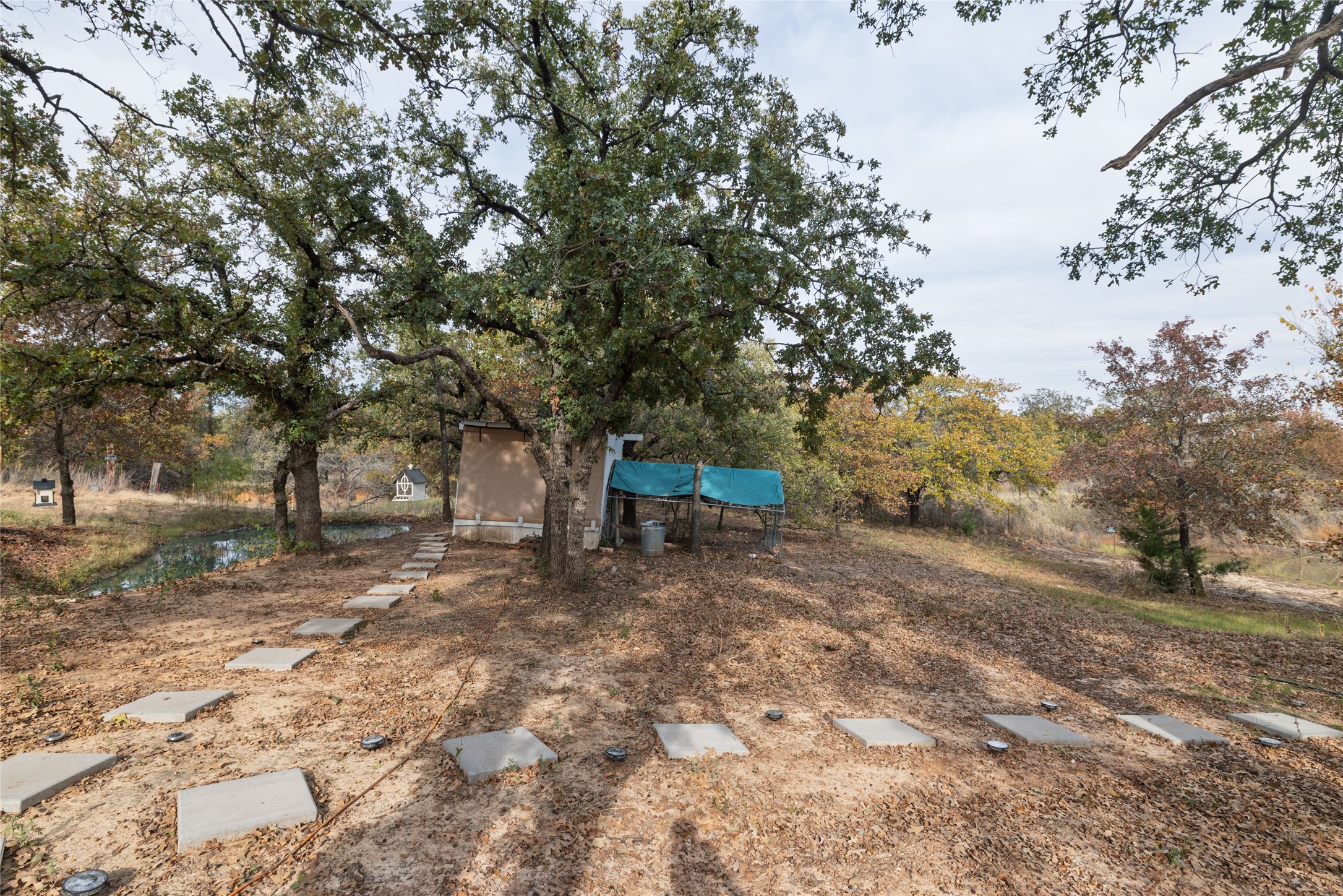 399 Wild Hill Oak Drive Springtown TX 76082