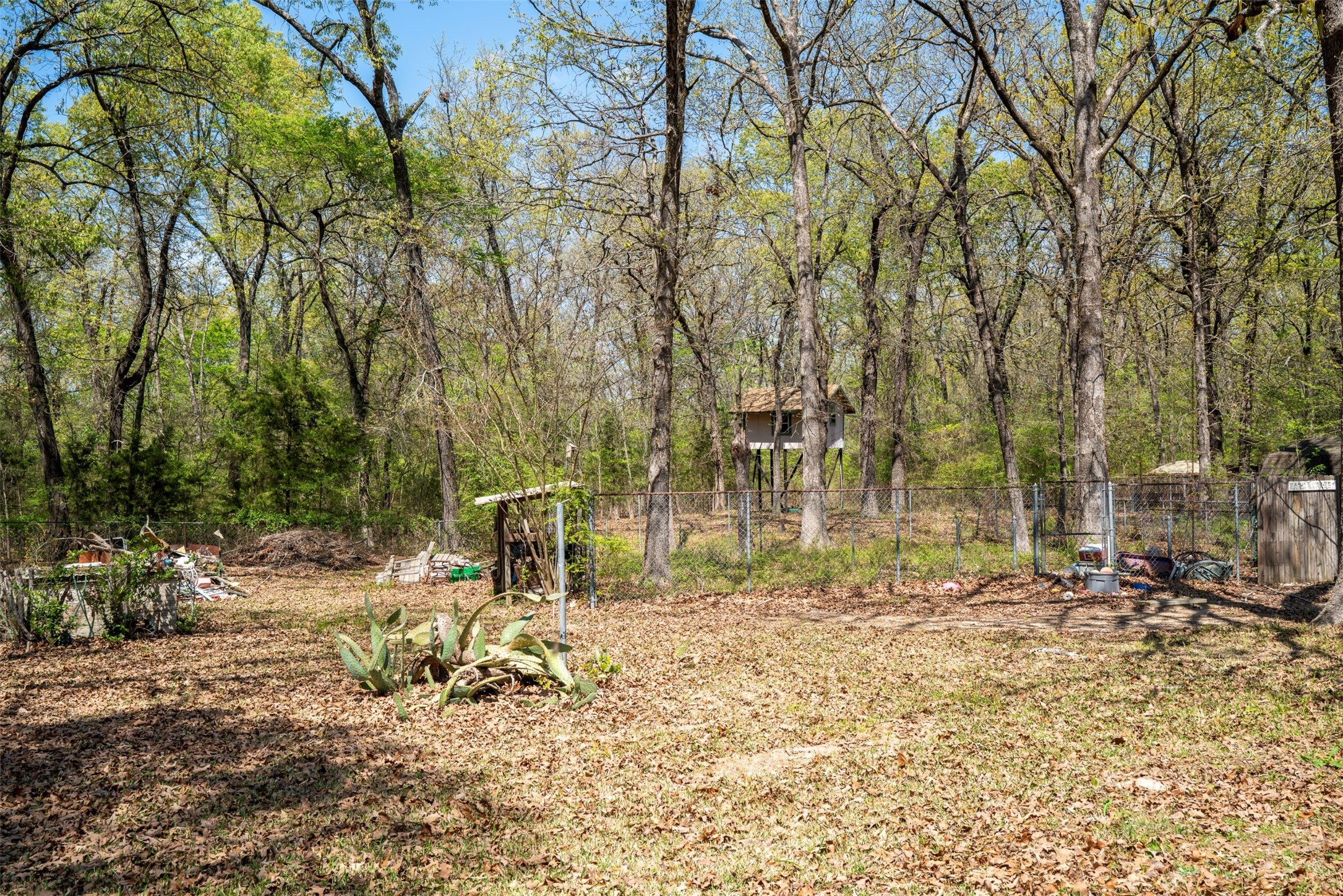 375 County Road 45080 Powderly TX 75473