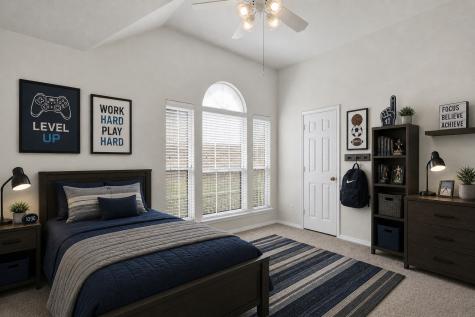 10114 Cecile Drive Frisco TX 75035