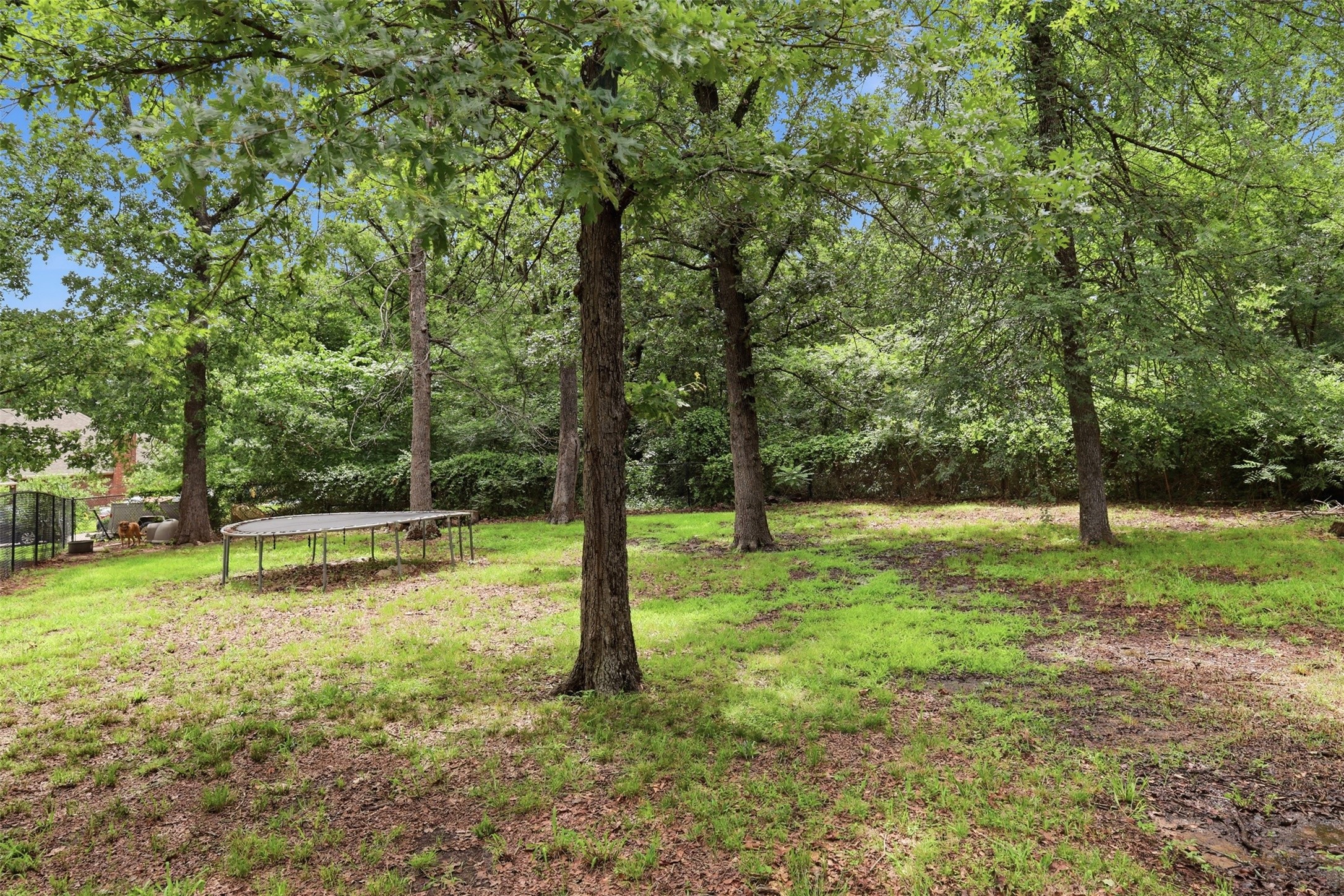 1500 April Drive Sulphur Springs TX 75482