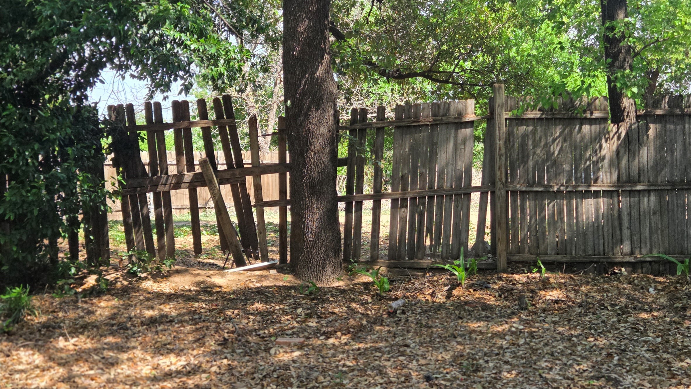 262 Palmetto Drive Fort Worth TX 76114