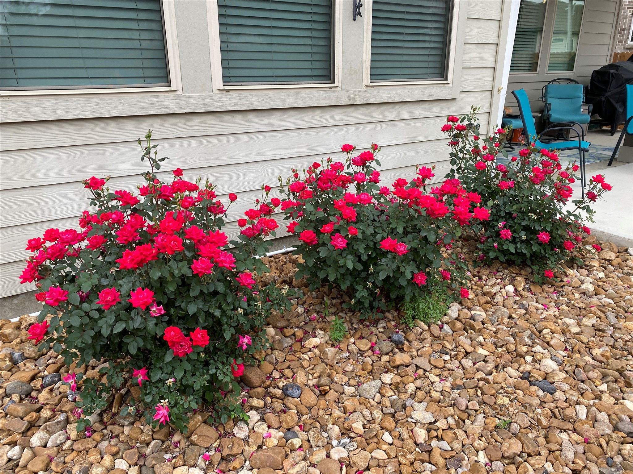 2931 Aller New Braunfels TX 78130