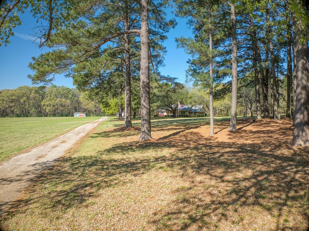 1383 Fm 3266 Palestine TX 75801