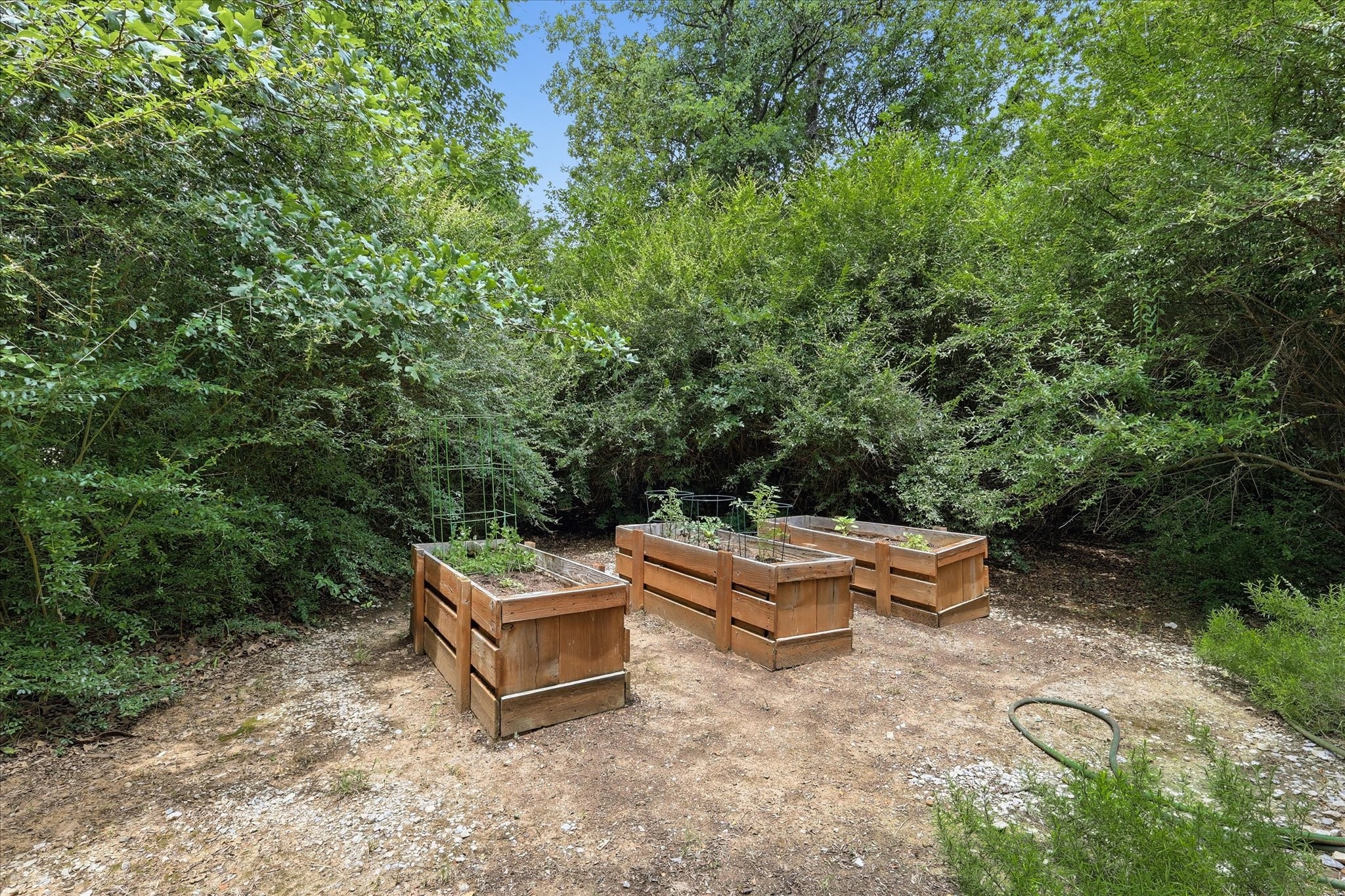 521 Diamond Point Drive Oak Point TX 75068
