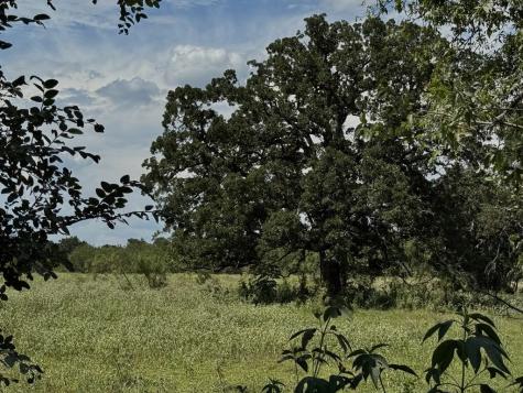 Tbd Highway 6 Riesel TX 76682
