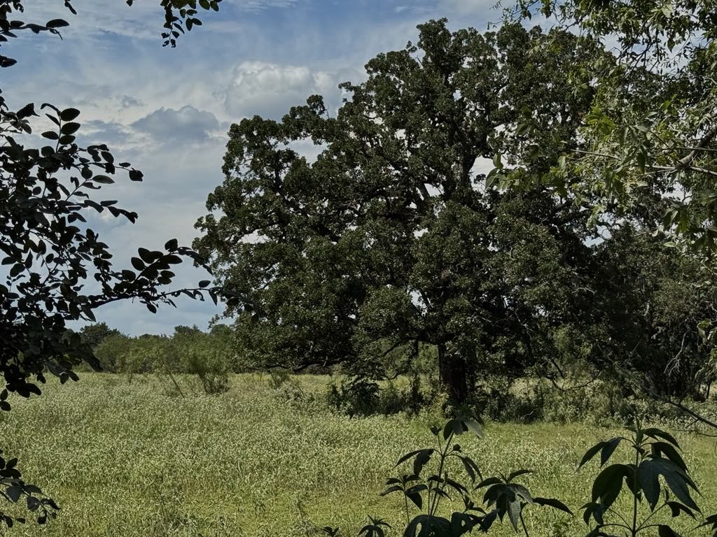 Tbd Cr 105a Riesel TX 76682