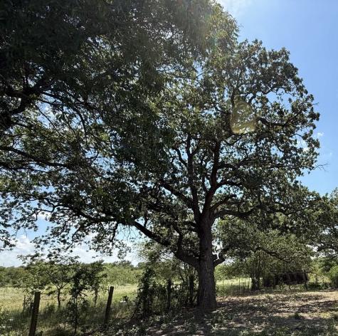 Tbd Highway 6 Riesel TX 76682