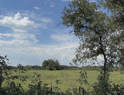 Tbd Highway 6 Riesel TX 76682