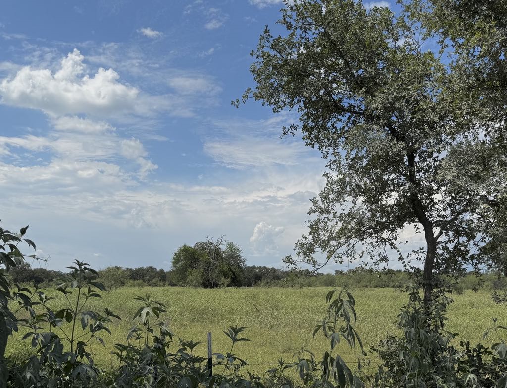 Tbd Cr 105a Riesel TX 76682