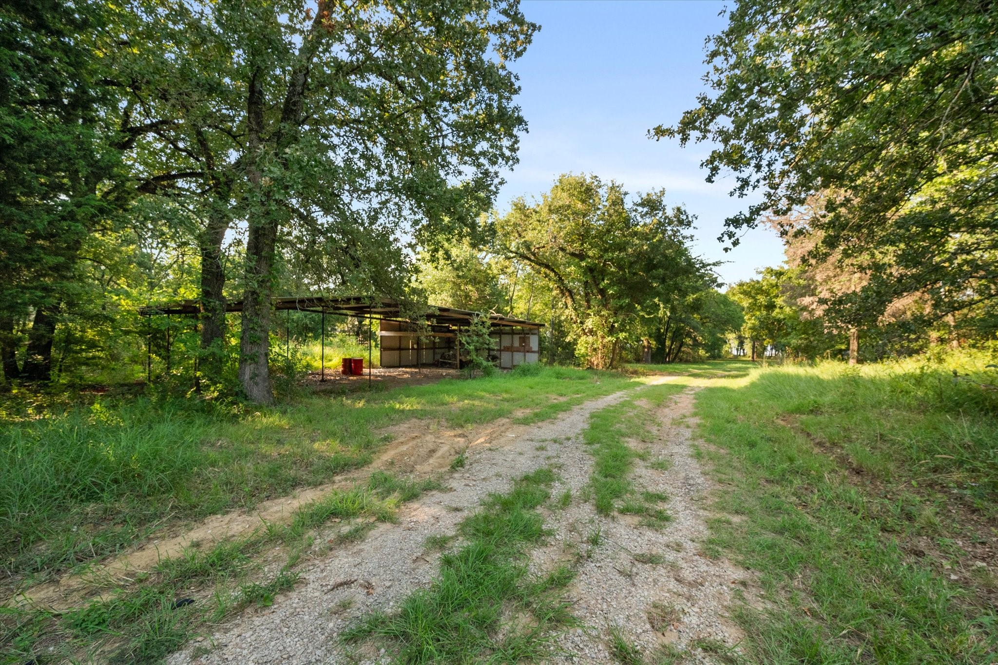 7410 County Road 3230a Kerens TX 75144