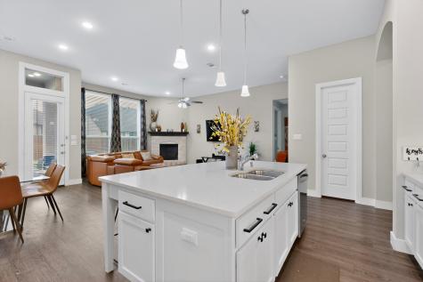 3825 Primrose Drive Aubrey TX 76227