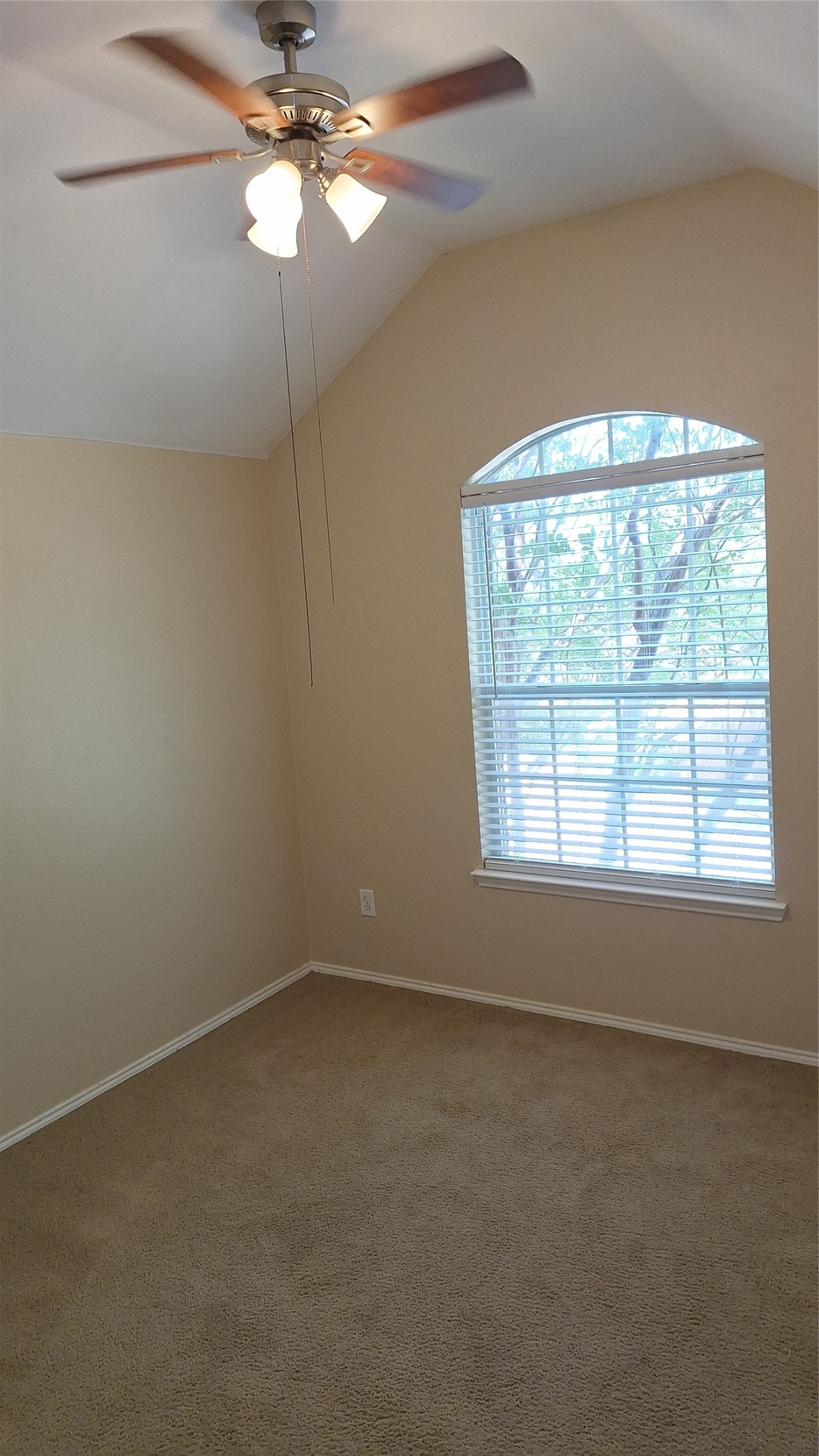 3116 Cedardale Drive Mckinney TX 75070