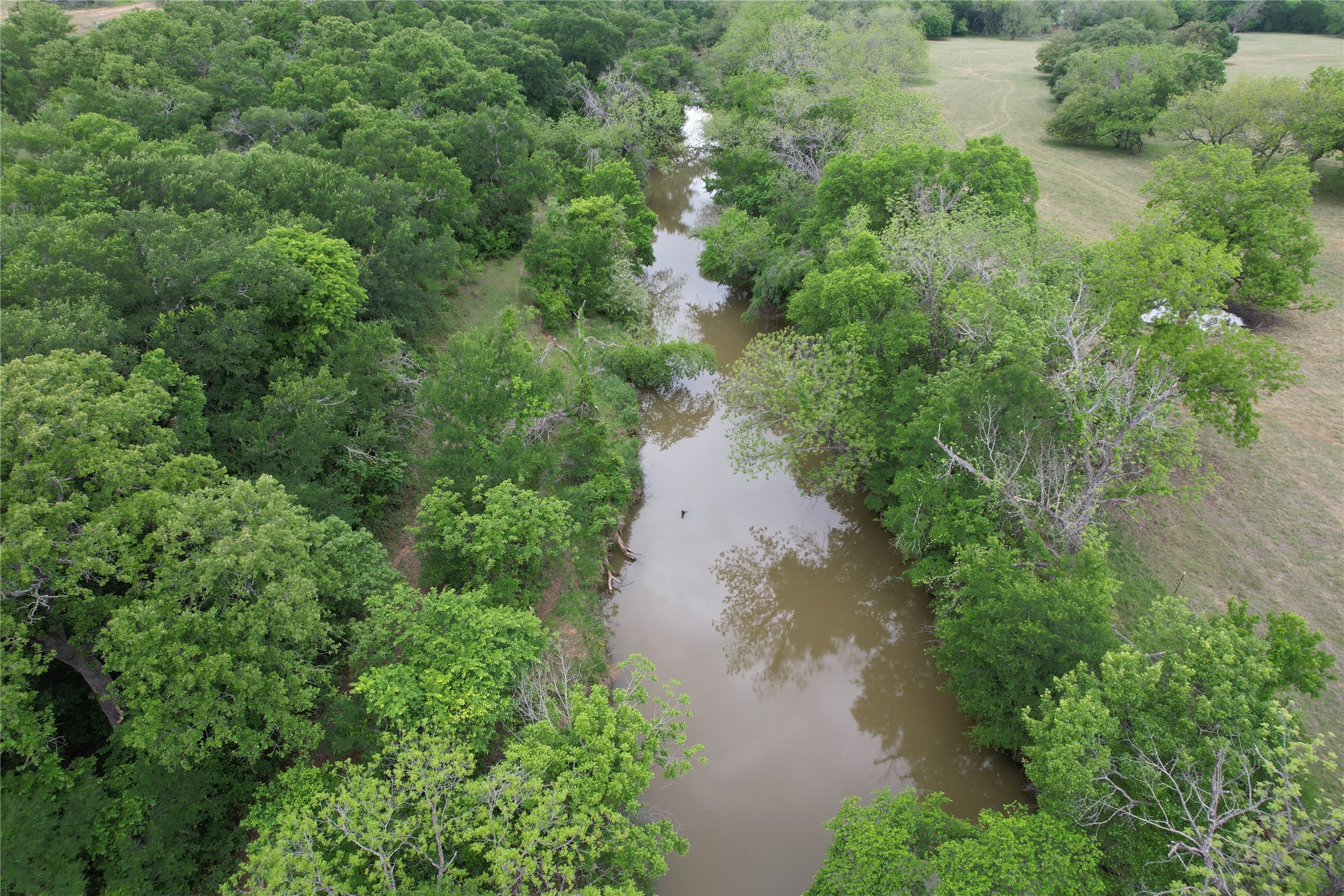 5300 Highway 2247 De Leon TX 76444