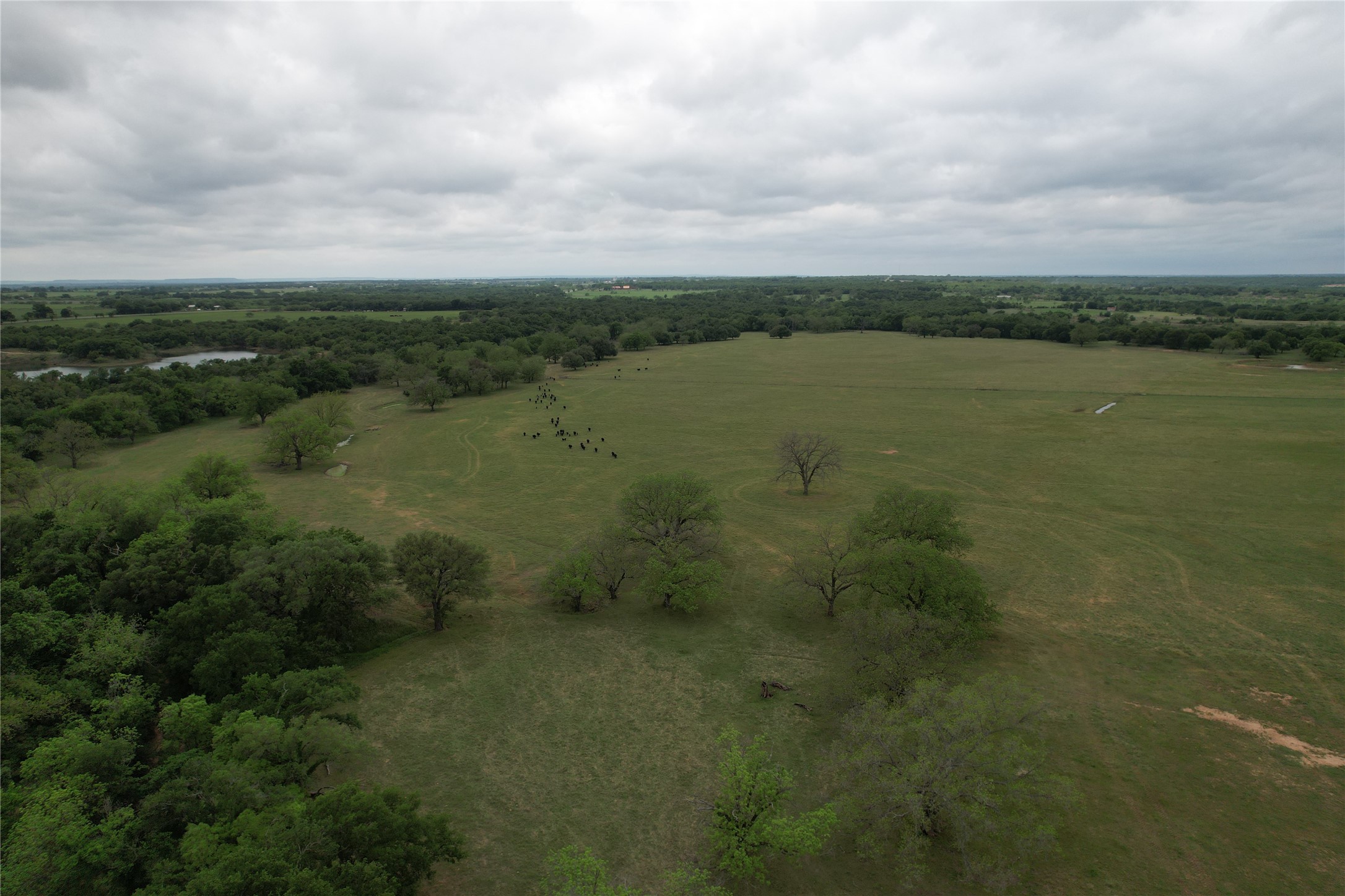 5300 Highway 2247 De Leon TX 76444
