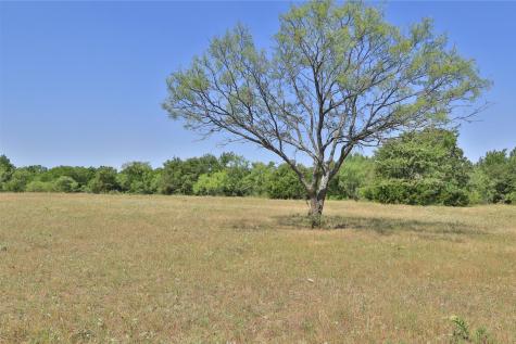 299 Private Road 1452 Chico TX 76431